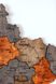 Дерев'яна мапа України "Вулканічний пил", багатошарова Standart КУ-03-2XS  фото 5